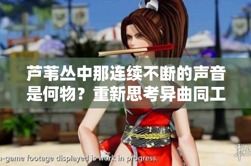 蘆葦叢中那連續不斷的聲音是何物？重新思考異曲同工之妙