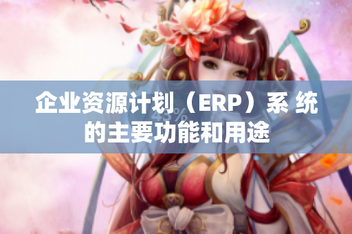 企業資源計劃（ERP）系 統的主要功能和用途