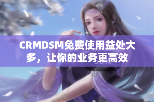 CRMDSM免費使用益處大多，讓你的業務更高效
