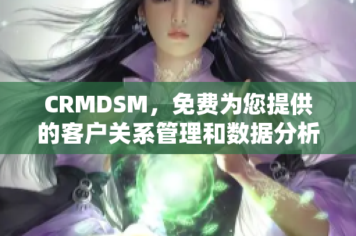 CRMDSM，免費為您提供的客戶關系管理和數據分析解決方案