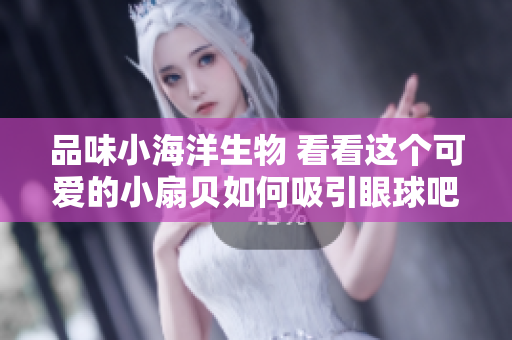 品味小海洋生物 看看這個可愛的小扇貝如何吸引眼球吧