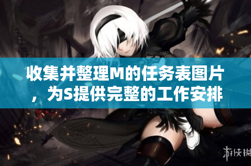 收集并整理M的任務表圖片，為S提供完整的工作安排和指引
