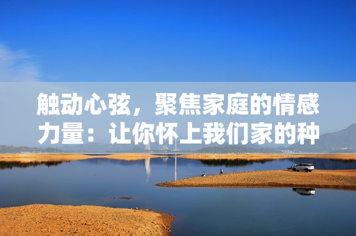 觸動心弦，聚焦家庭的情感力量：讓你懷上我們家的種