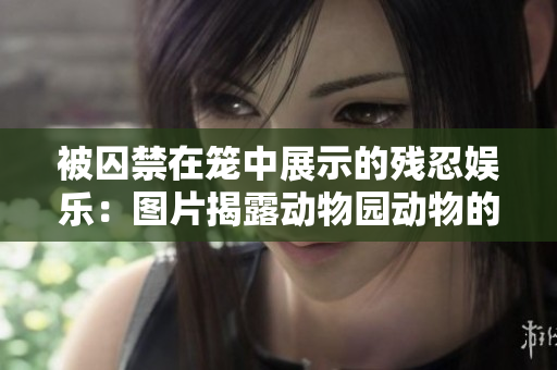 被囚禁在籠中展示的殘忍娛樂(lè)：圖片揭露動(dòng)物園動(dòng)物的困境