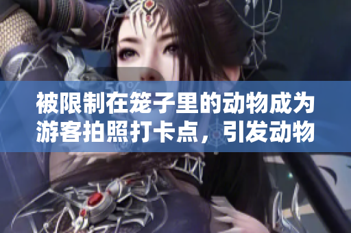 被限制在籠子里的動物成為游客拍照打卡點，引發動物權益爭議
