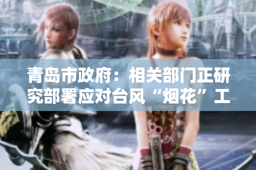 青島市政府：相關(guān)部門正研究部署應(yīng)對臺風“煙花”工作