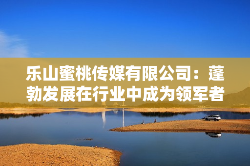樂山蜜桃傳媒有限公司：蓬勃發展在行業中成為領軍者