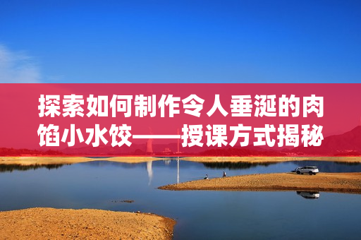 探索如何制作令人垂涎的肉餡小水餃——授課方式揭秘