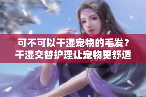 可不可以干濕寵物的毛發(fā)？干濕交替護理讓寵物更舒適