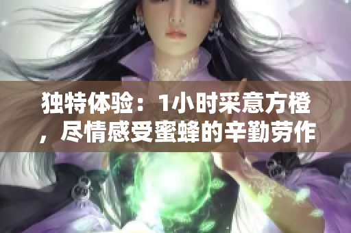 獨特體驗：1小時采意方橙，盡情感受蜜蜂的辛勤勞作