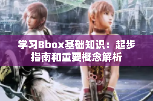 學習Bbox基礎知識：起步指南和重要概念解析