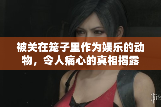 被關在籠子里作為娛樂的動物，令人痛心的真相揭露