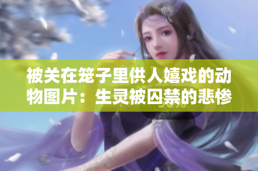被關在籠子里供人嬉戲的動物圖片：生靈被囚禁的悲慘命運