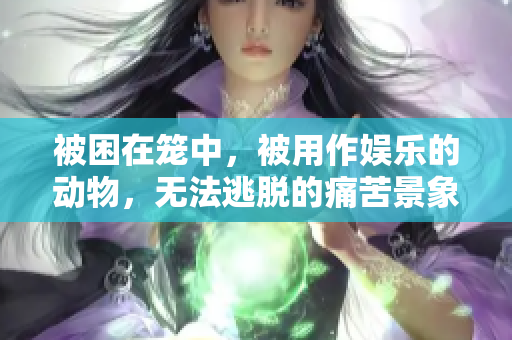 被困在籠中，被用作娛樂的動物，無法逃脫的痛苦景象