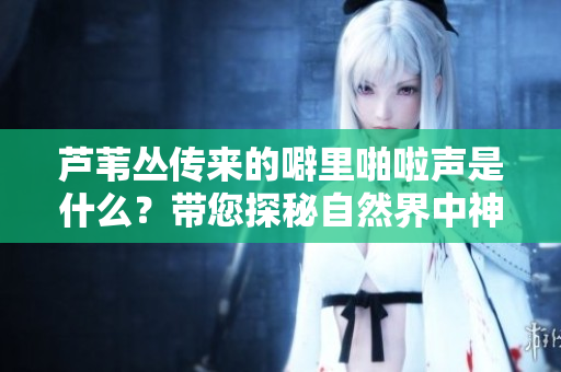 蘆葦叢傳來的噼里啪啦聲是什么？帶您探秘自然界中神秘的聲音
