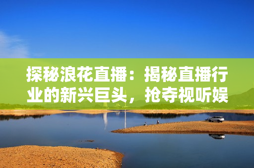 探秘浪花直播：揭秘直播行業(yè)的新興巨頭，搶奪視聽娛樂市場份額