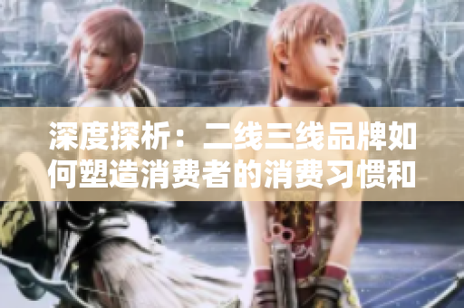 深度探析：二線三線品牌如何塑造消費者的消費習慣和品味