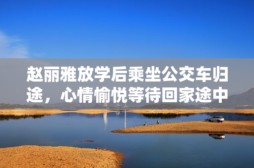 趙麗雅放學后乘坐公交車歸途，心情愉悅等待回家途中發生的故事